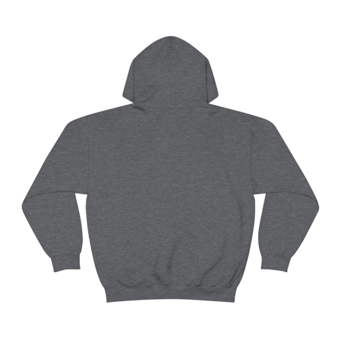 Light show Rabbit Hooded Sweatshirt